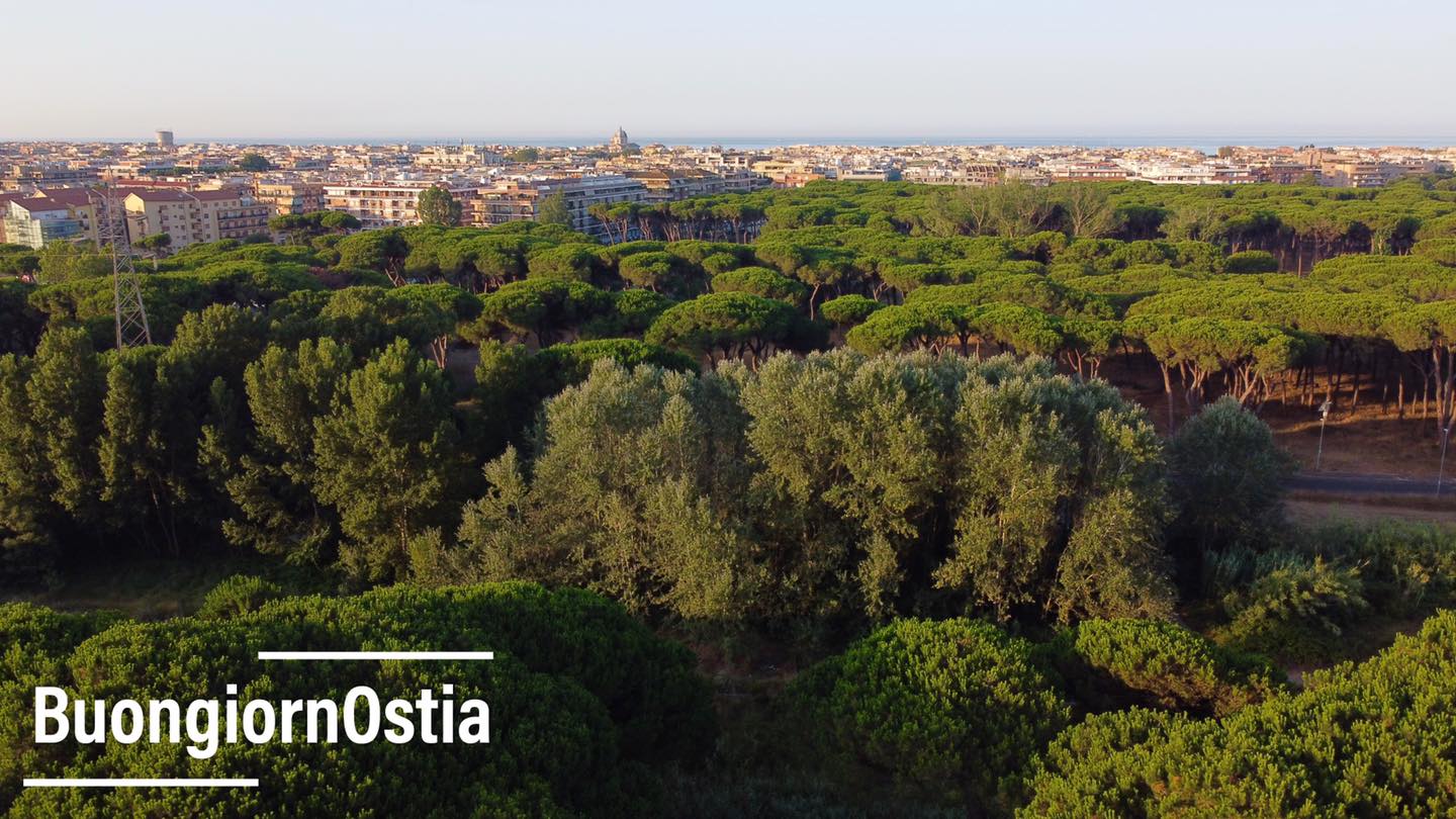 Il mare di Ostia  in salute